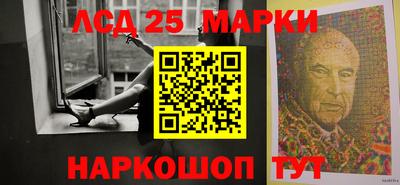 индика Гусев