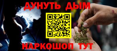 индика Гусев