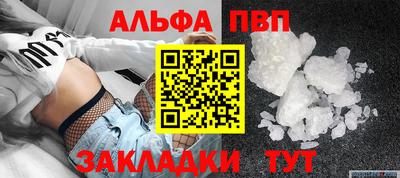 индика Гусев