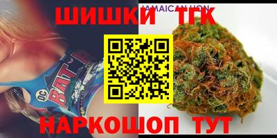 индика Гусев