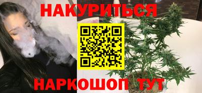 индика Гусев