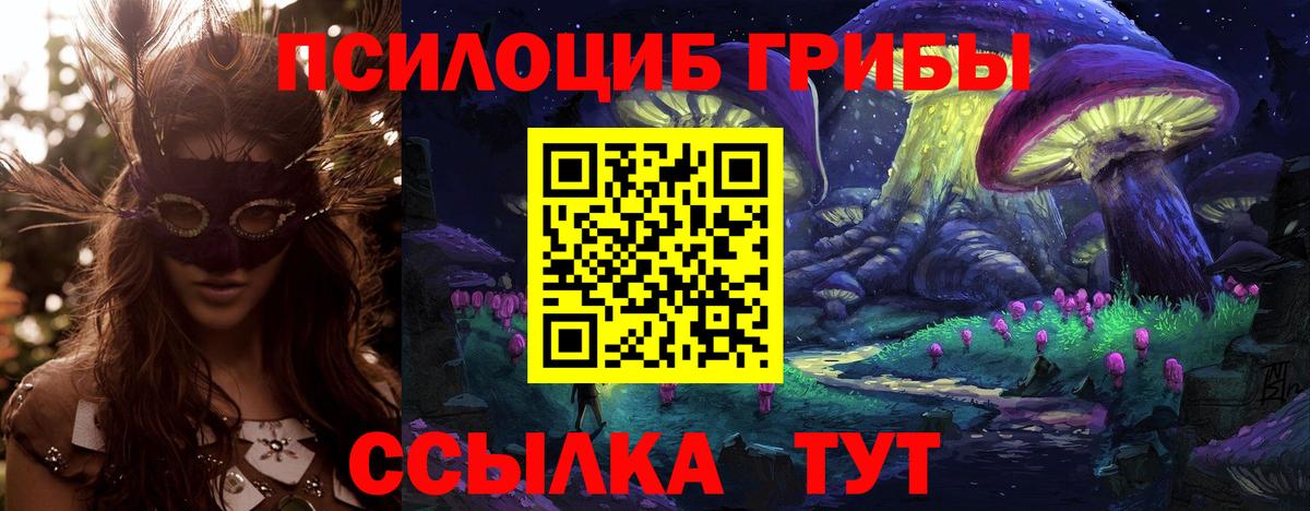 Псилоцибиновые грибы GOLDEN TEACHER Заречный