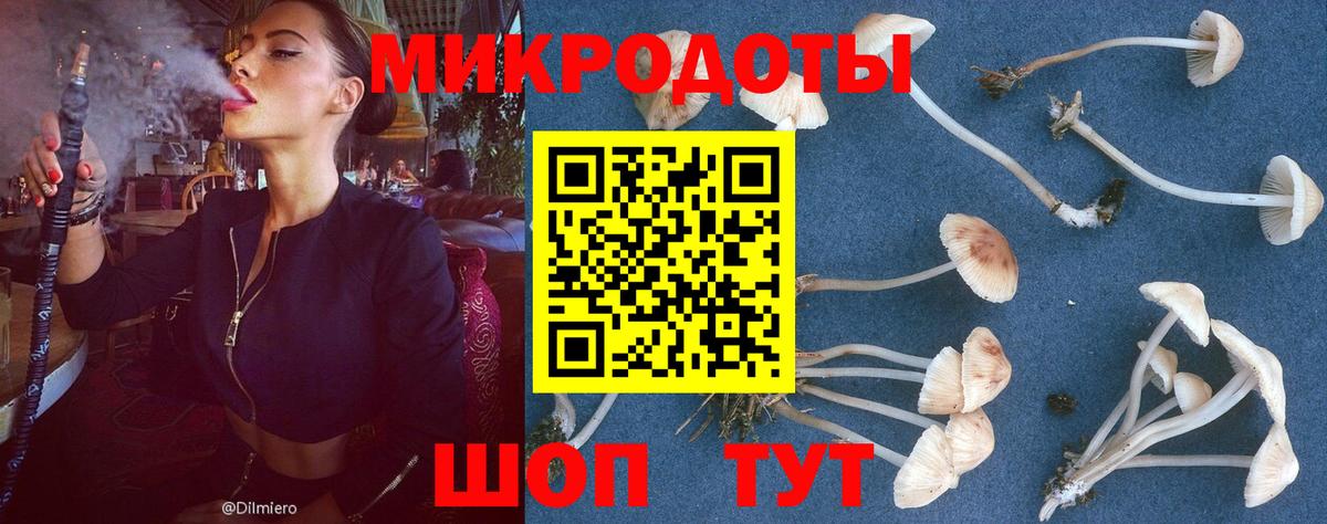 Заречный  Псилоцибиновые грибы MAGIC MUSHROOMS  Вход с VPN 